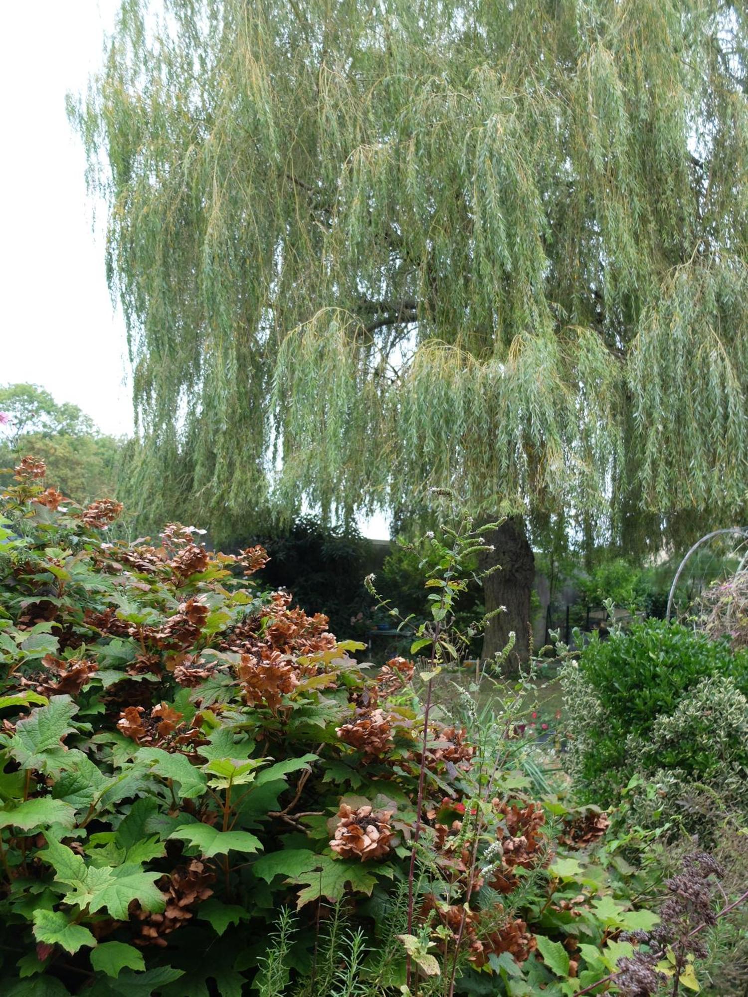 Cote Jardin Apartment Isles-sur-Suippe