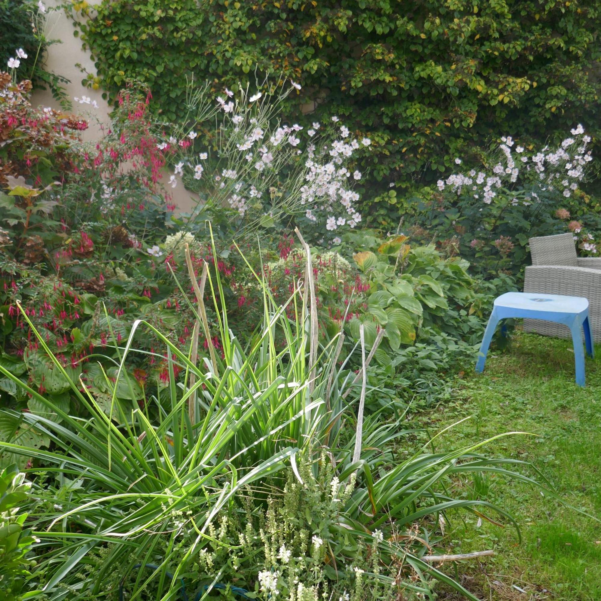 Cote Jardin * Isles-sur-Suippe